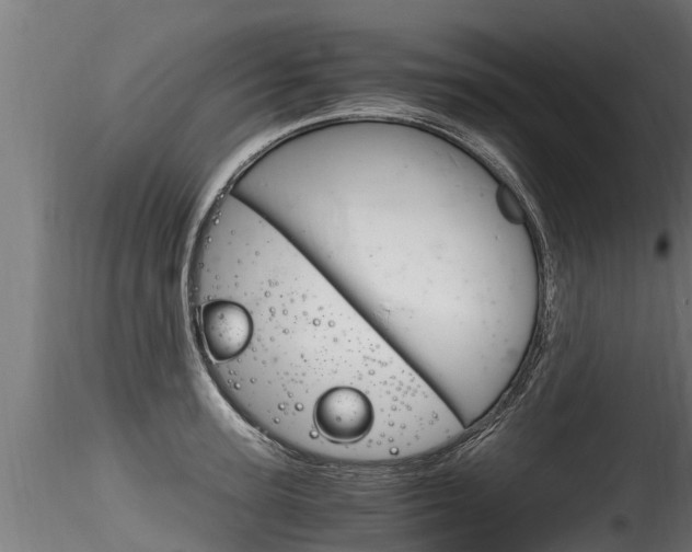 X0000116260947200911300949