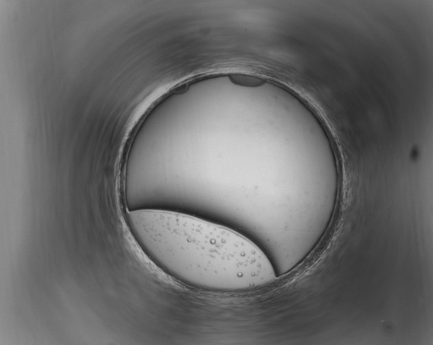X0000116260949200911300949