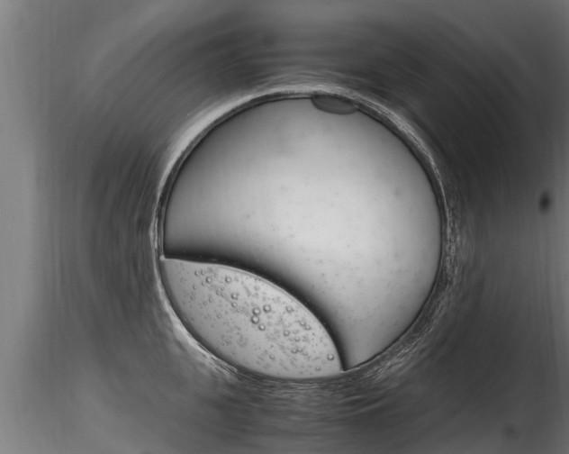 X0000116260951200911300949