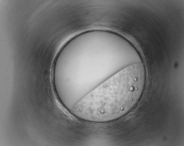 X0000116260958200911300949
