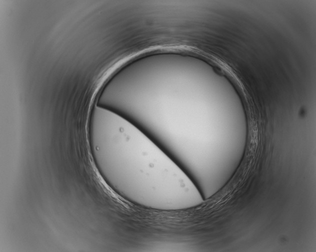 X0000116260959200911300949