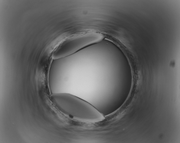 X0000116260969200911300948