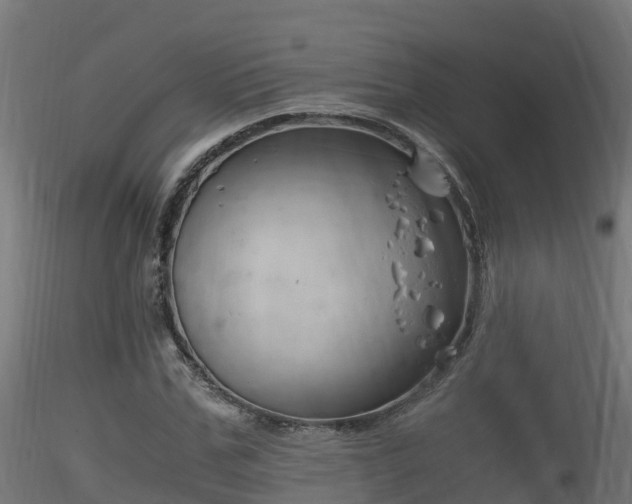 X0000116260971200911300948