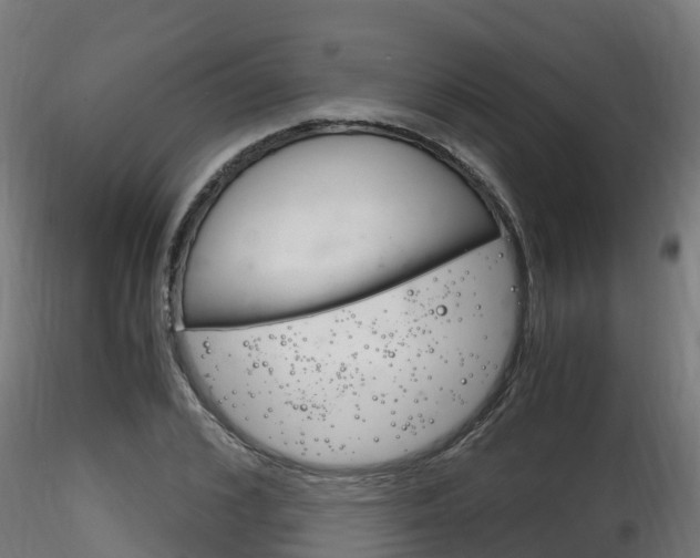 X0000116260976200911300948