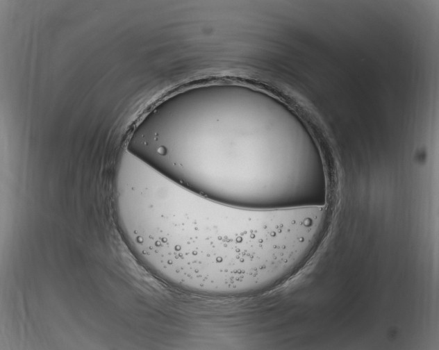 X0000116260977200911300948