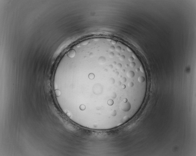 X0000116260978200911300948