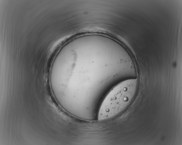 X0000116260979200911300948