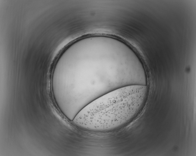 X0000116260982200911300948