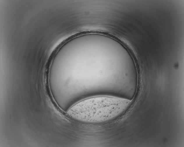 X0000116260983200911300948