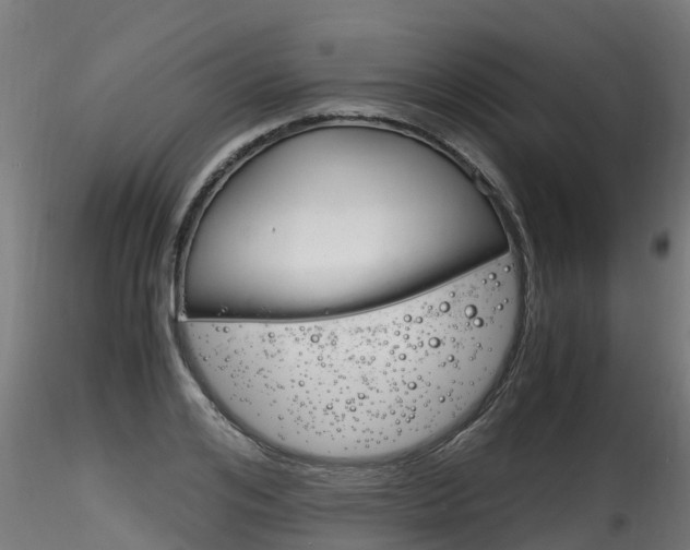 X0000116260984200911300948