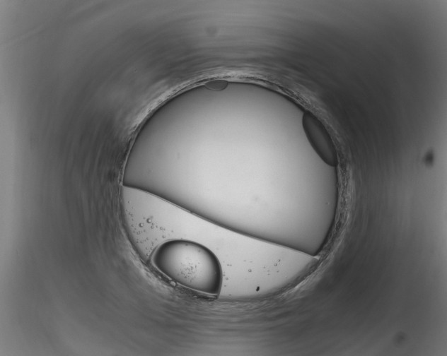 X0000116260985200911300948