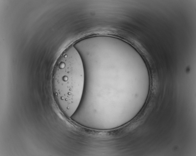 X0000116260986200911300948