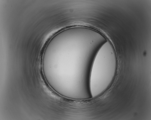X0000116260987200911300948