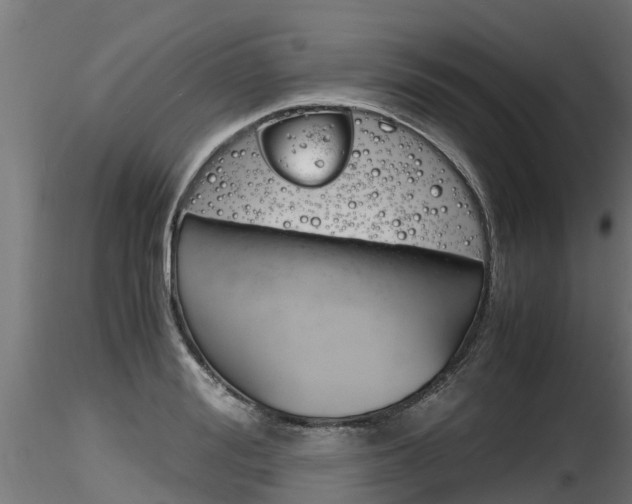 X0000116260988200911300948