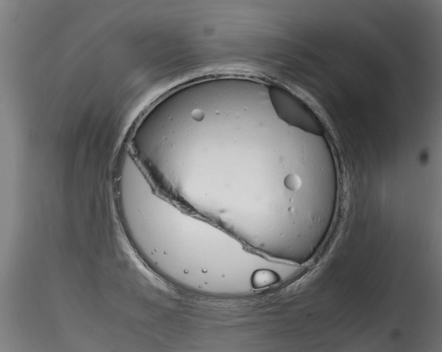 X0000116260989200911300948