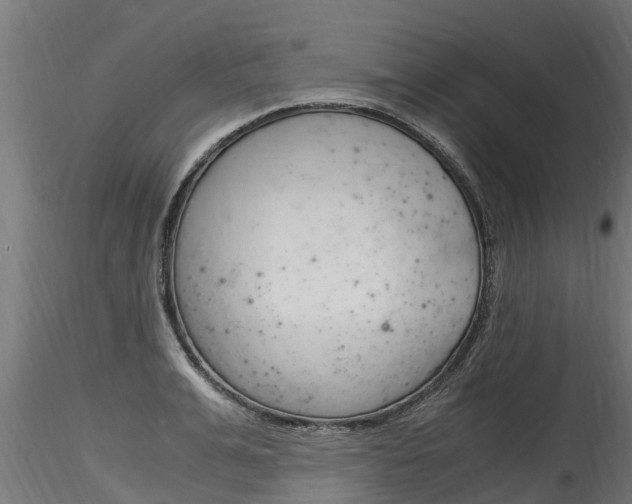 X0000116260991200911300948