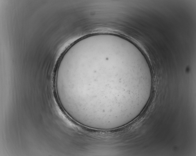 X0000116260995200911300948