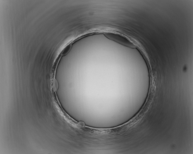 X0000116260997200911300948