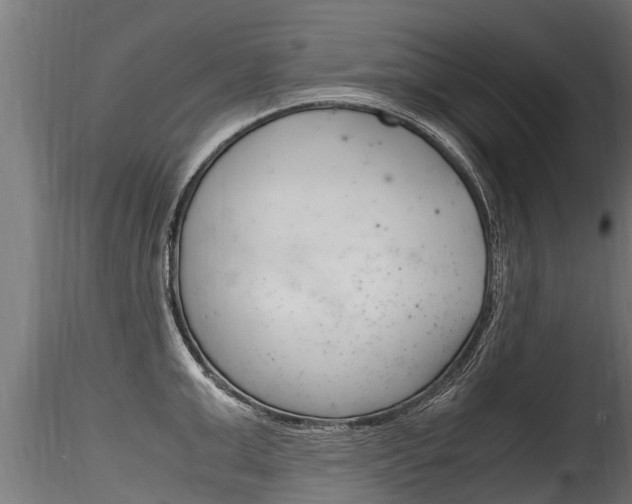 X0000116260999200911300948