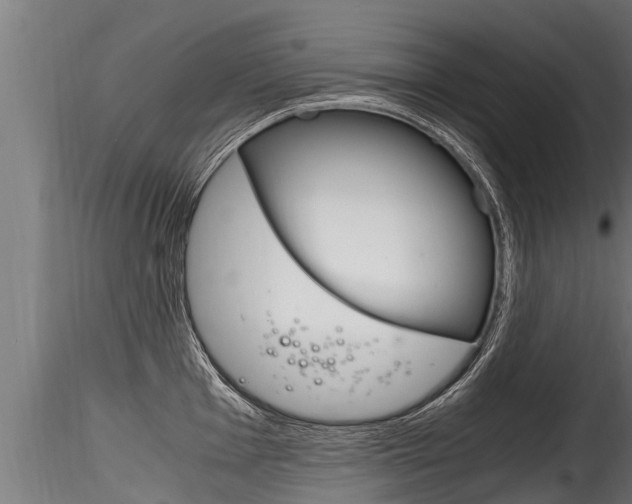 X0000116261001200911300948