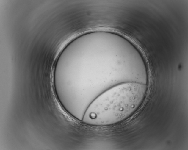X0000116261006200911300948