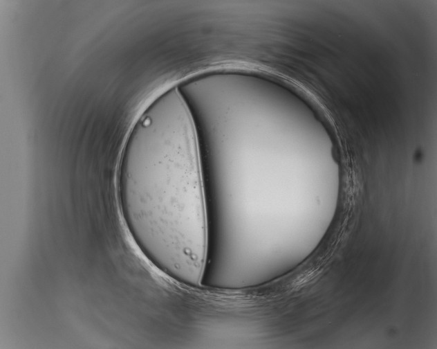 X0000116261007200911300948