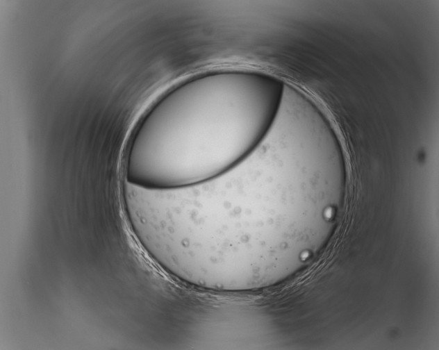 X0000116261008200911300948