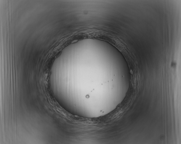 X0000116261010200911300947