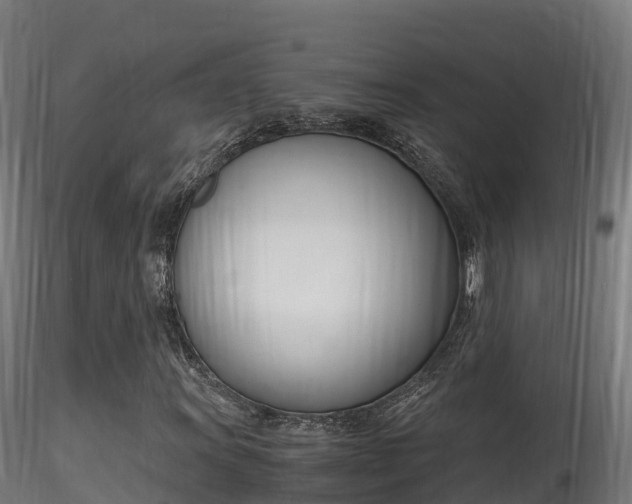 X0000116261011200911300947