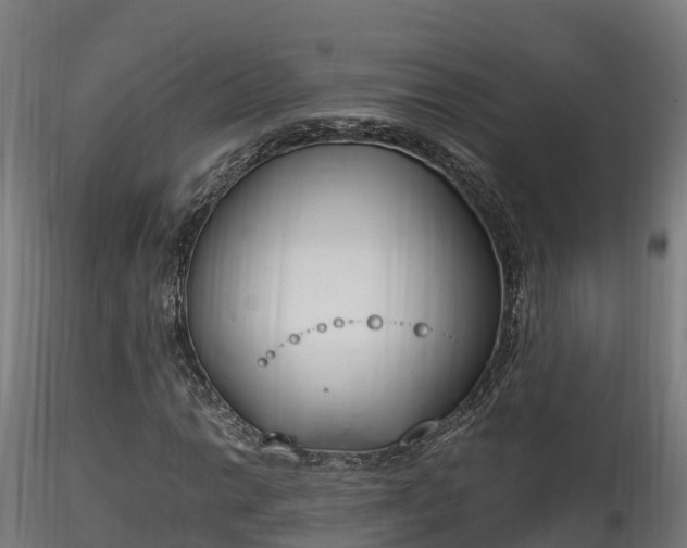 X0000116261014200911300947