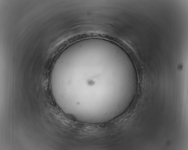 X0000116261015200911300947