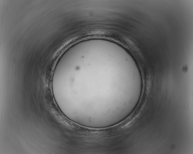 X0000116261017200911300947