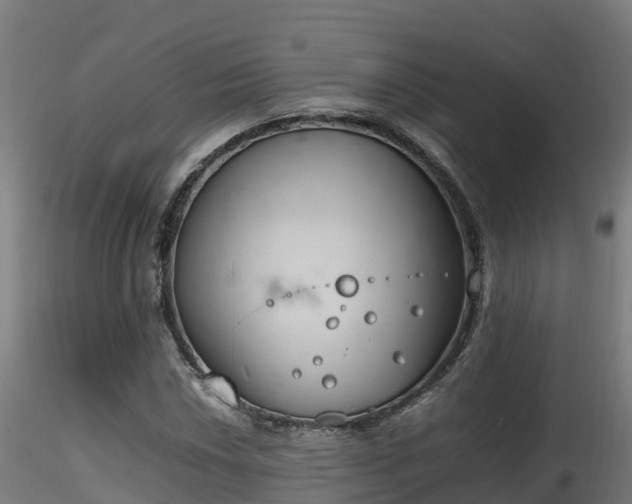 X0000116261018200911300947