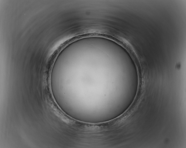 X0000116261019200911300947