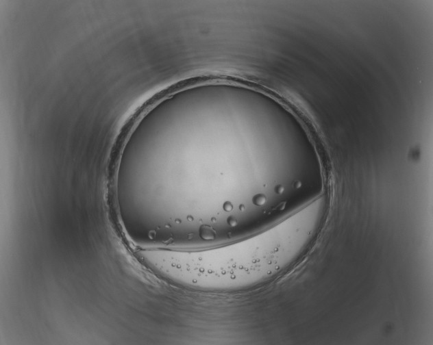 X0000116261020200911300947