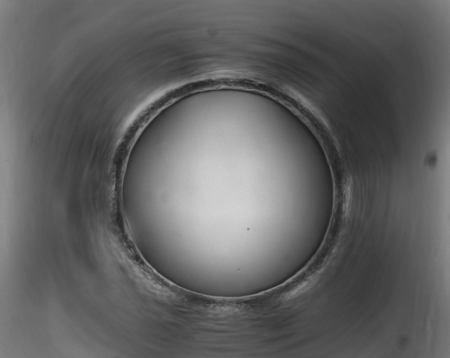 X0000116261021200911300947