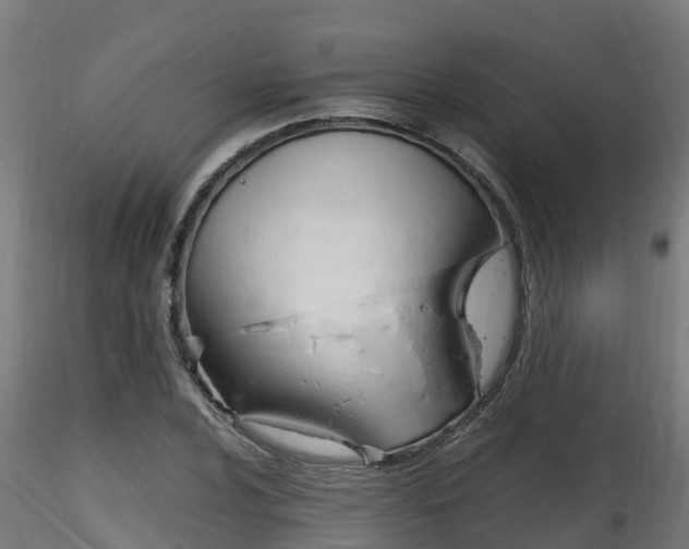 X0000116261024200911300947