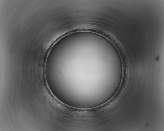 X0000116261025200911300947
