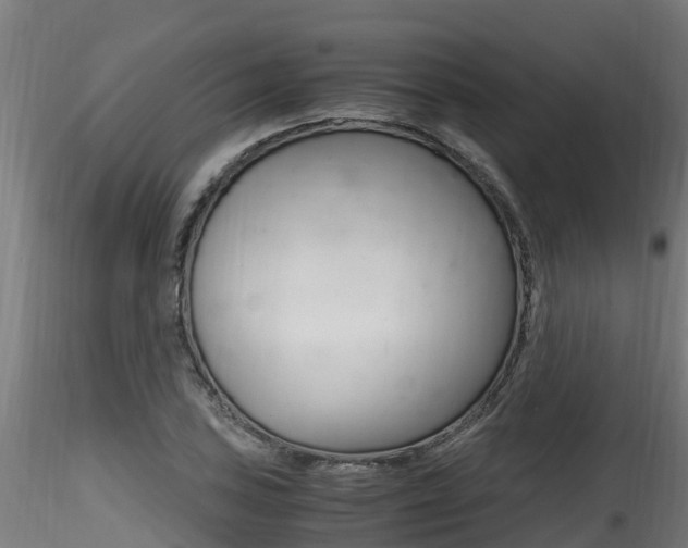 X0000116261027200911300947