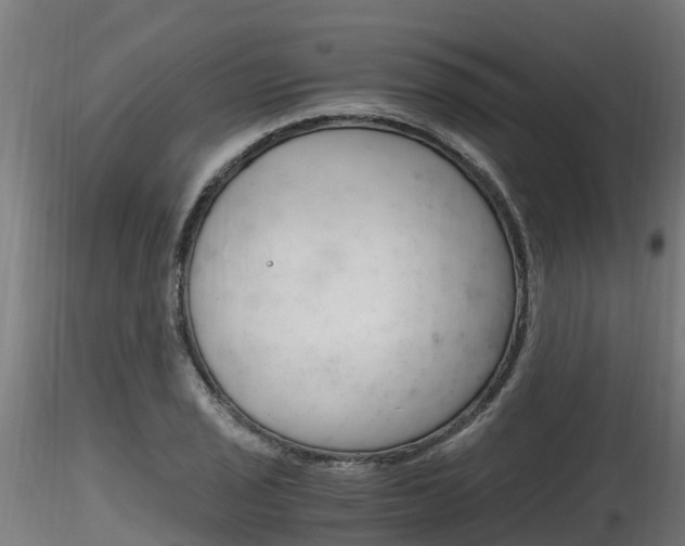 X0000116261029200911300947