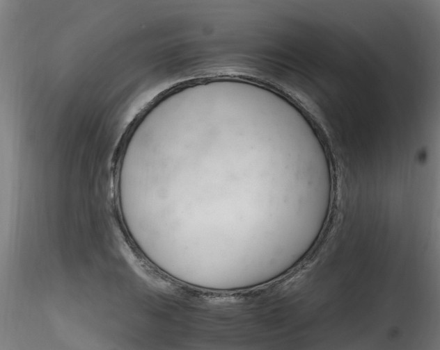 X0000116261031200911300947