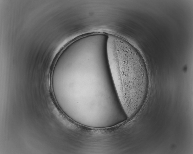 X0000116261032200911300947