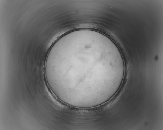 X0000116261033200911300947