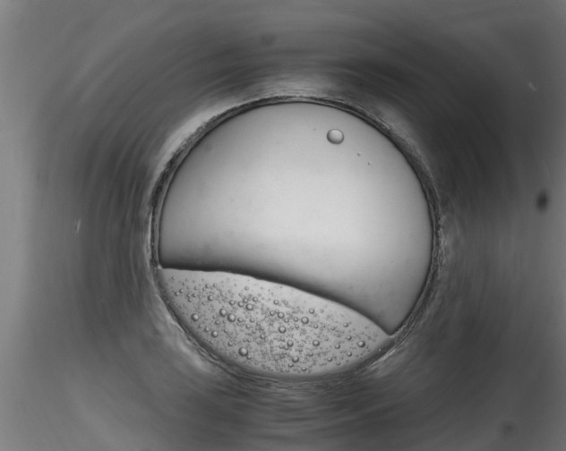 X0000116261035200911300947
