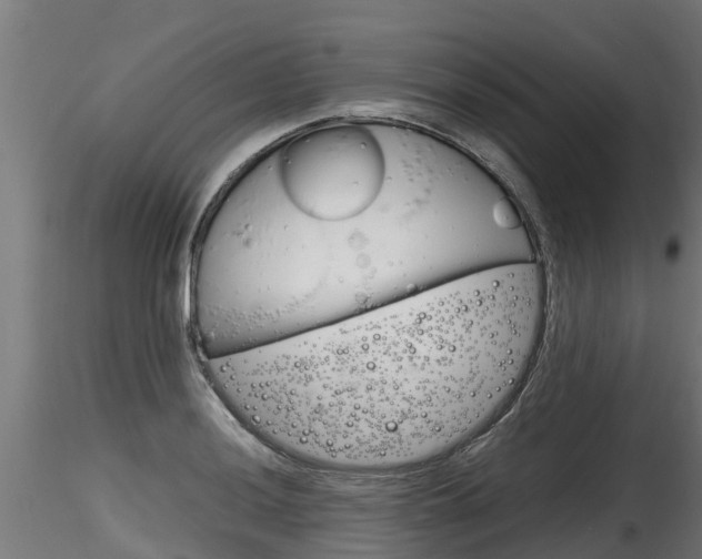 X0000116261036200911300947