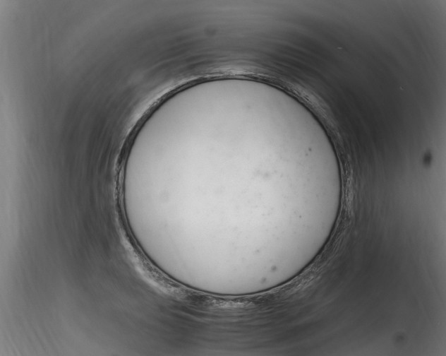 X0000116261039200911300948