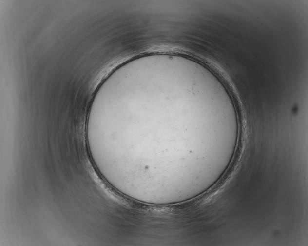 X0000116261041200911300948