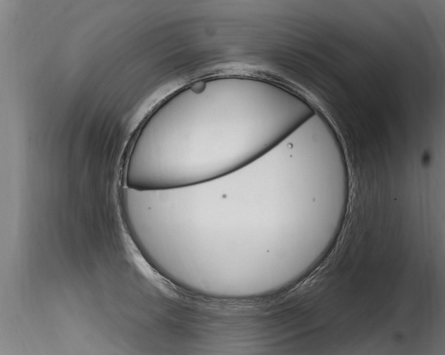 X0000116261042200911300948