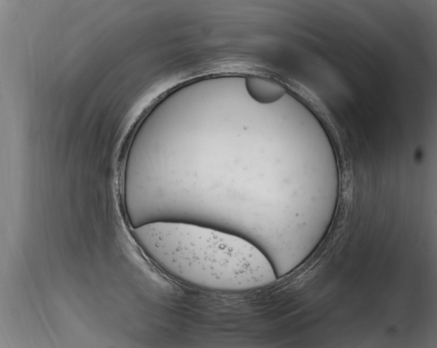 X0000116261043200911300948