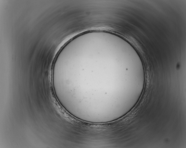 X0000116261044200911300948